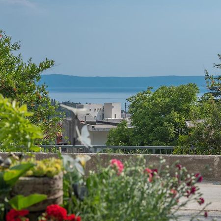 Apartment Strawberry Макарска Экстерьер фото